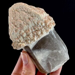 Smoky Quartz Scepter | Mineral Specimen