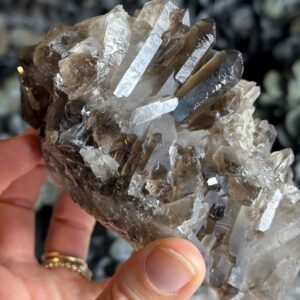 Brazilian Smoky Quartz Cluster