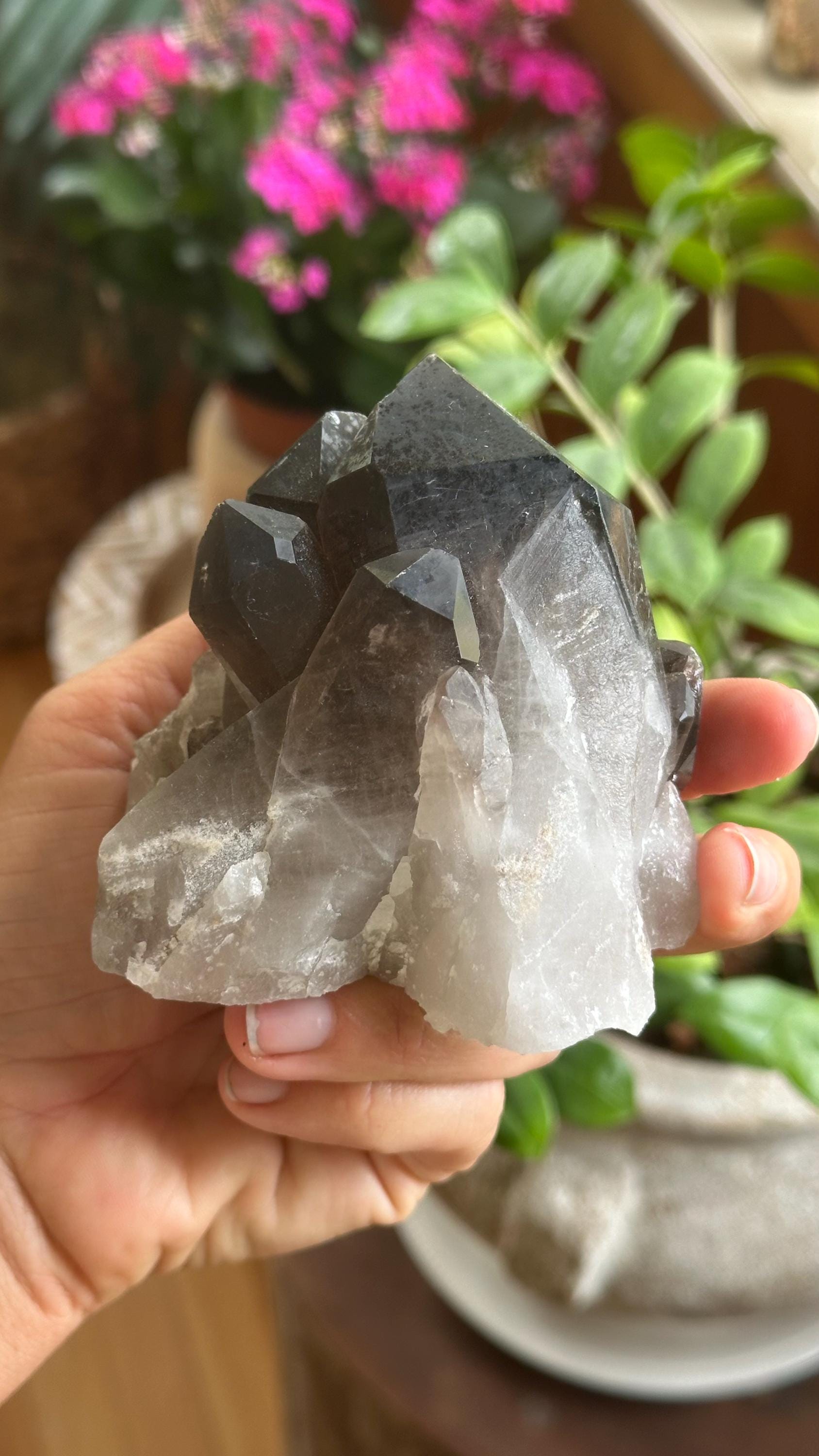 Brazilian Smoky Quartz Cluster