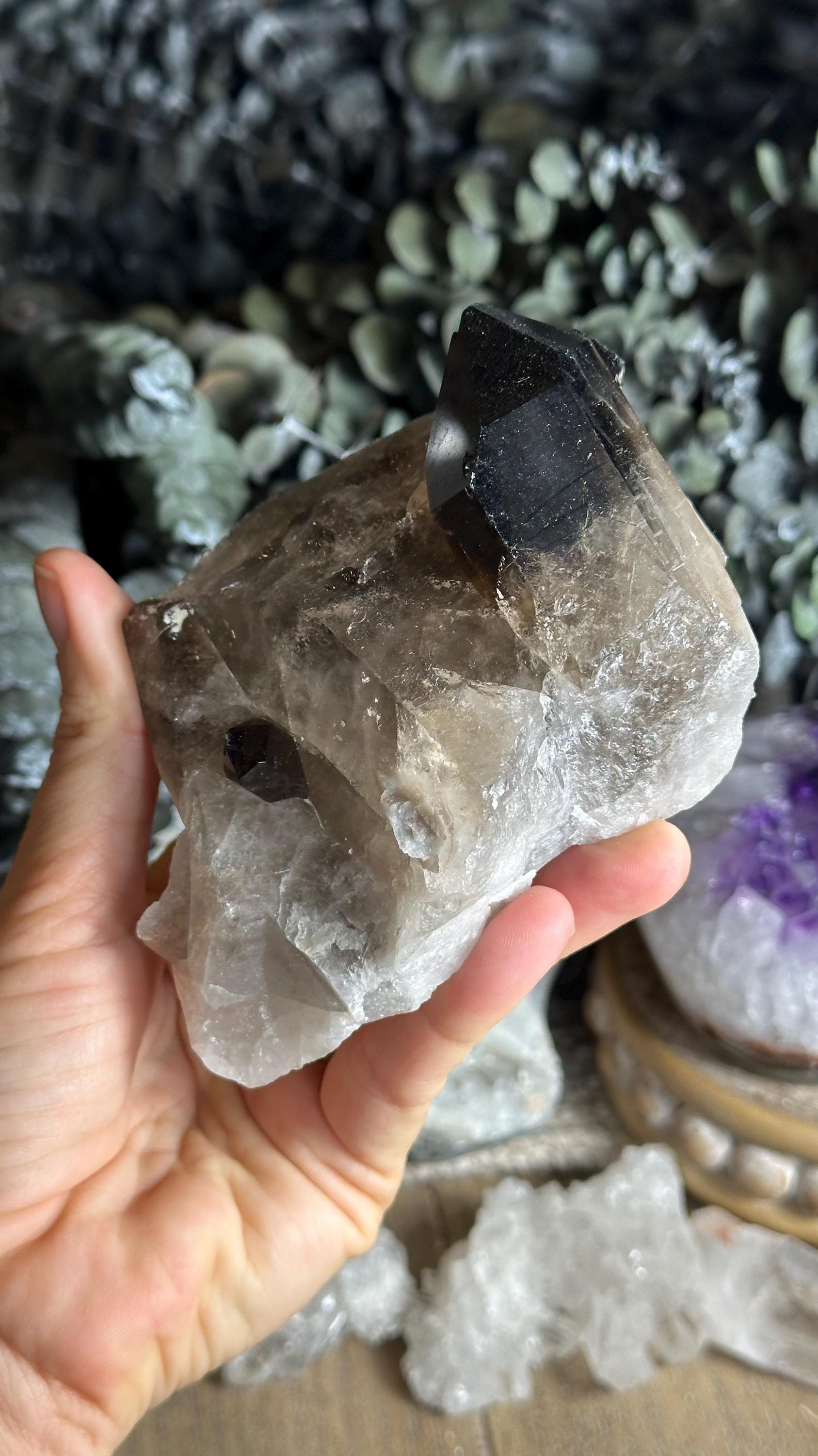 Brazilian Smoky Quartz Cluster – Extra Dark Color Brazilian Smoky Quartz Cluster – Extra Dark Color
