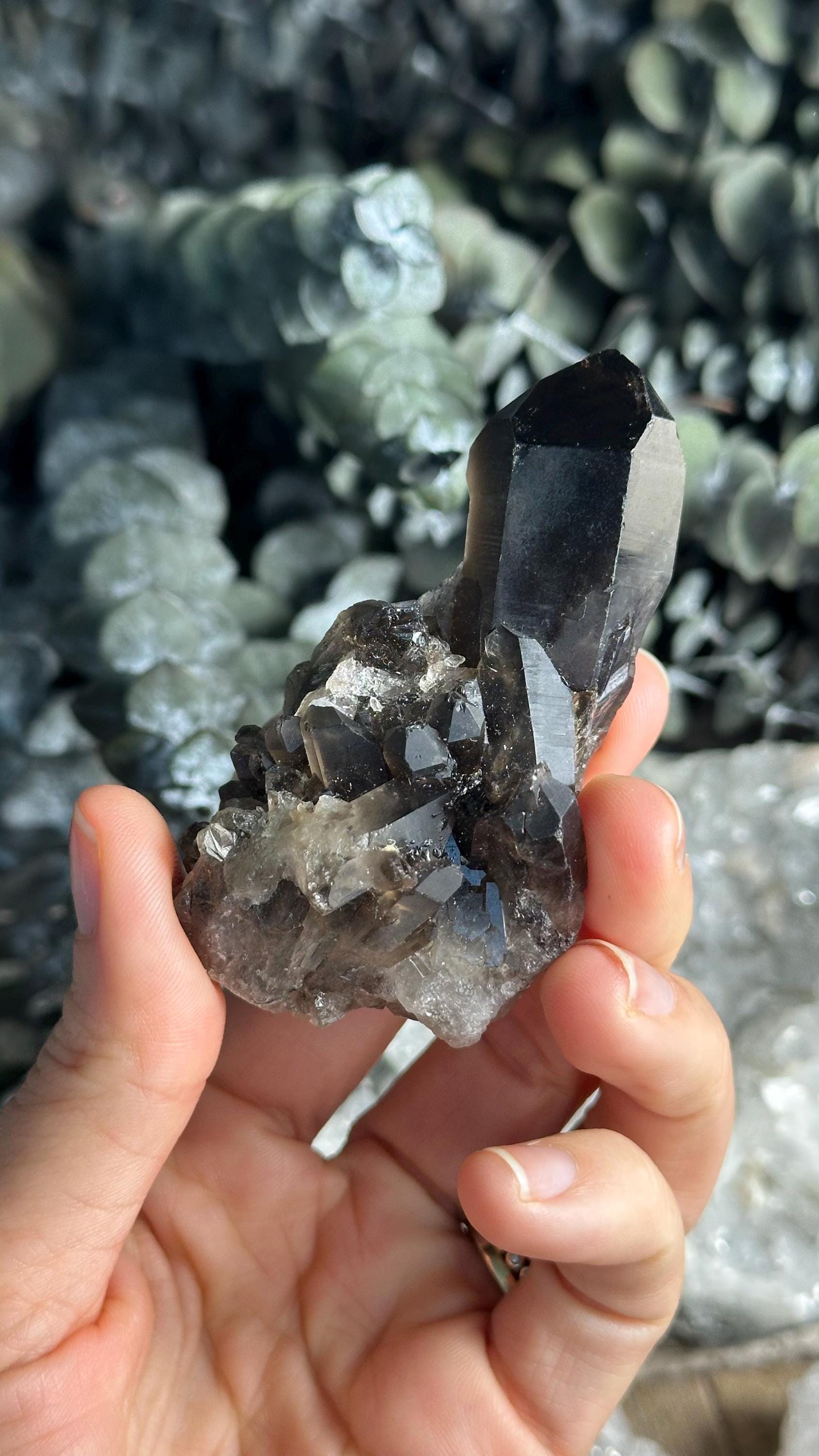 Smoky Quartz Cluster – Grounding Crystal, Meditation Decor
