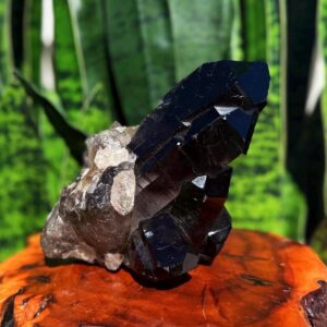 Smoky Quartz Crystal Cluster -  XL crystal for protection & grounding