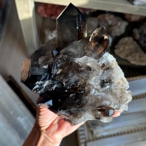 Large Brazilian Smoky Quartz Cluster – Extra Dark Color 5lb