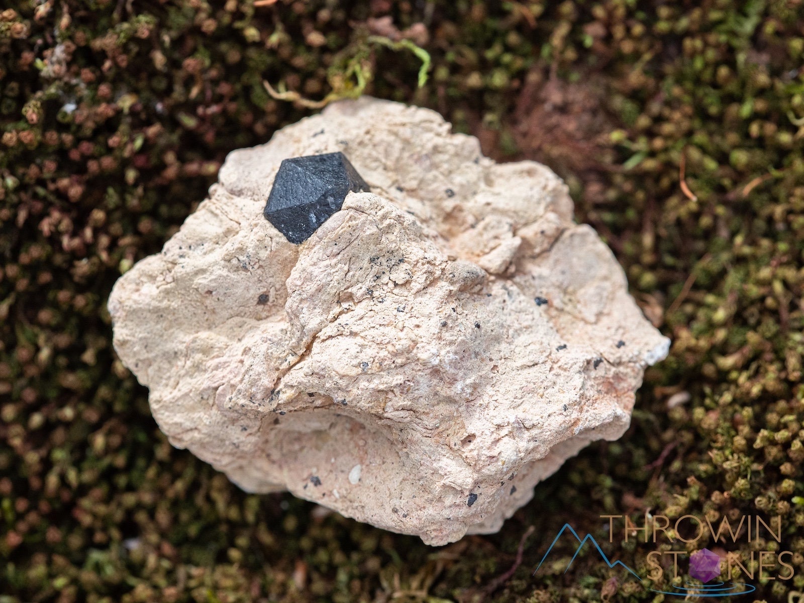 Morion Smoky Quartz Raw Crystal Cluster - Housewarming Gift, Home Decor, Raw Crystals And Stones, 39864