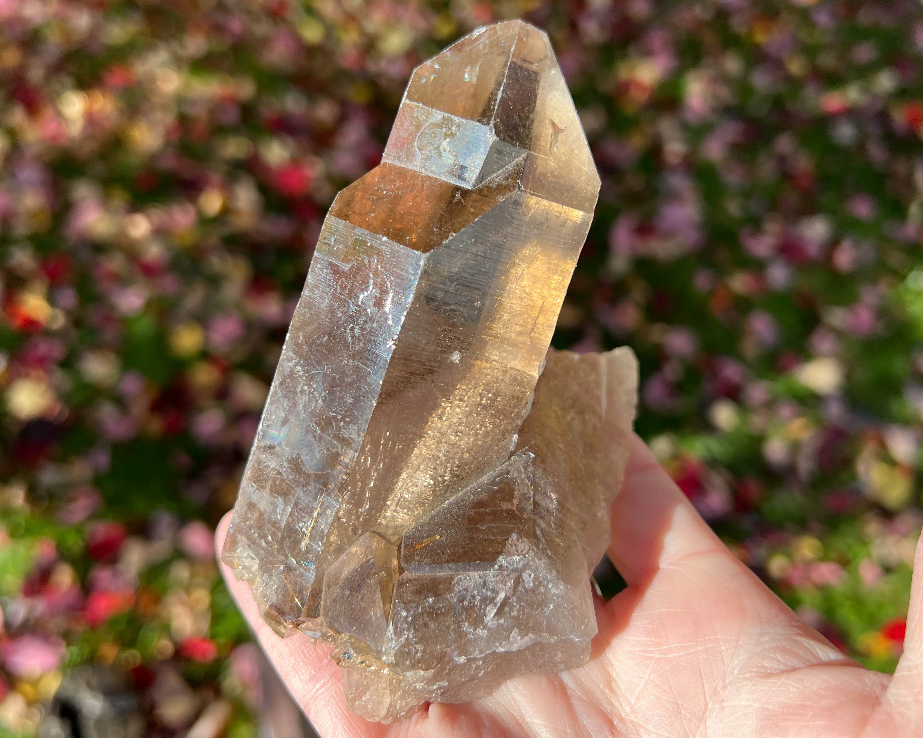 Natural Rutilated Smoky Quartz Crystal Cluster: Grounding Stone (4.6 X 3 X 2.9”) #rq