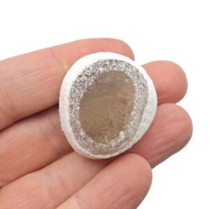 Smoky Quartz Seer Stone - Divination Crystal - River Stone - Window Stone - Metaphysical - Crystal Ball - Fo1025 Smoky Quartz Seer Stone - Divination Crystal - River Stone - Window Stone - Metaphysical - Crystal Ball - Fo1025