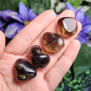Smoky Quartz Crystal - Smoky Quartz Stone - Smoky Quartz Tumbled - Polished Smoky Quartz - Natural Smoky Quartz - Smoky Quartz Tumble Smoky Quartz Crystal - Smoky Quartz Stone - Smoky Quartz Tumbled - Polished Smoky Quartz - Natural Smoky Quartz - Smoky Quartz Tumble