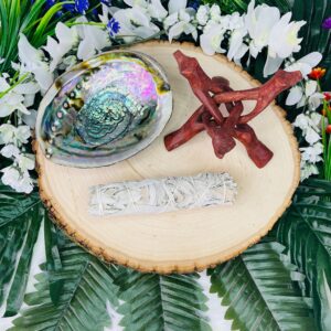 6" Smudge Kit | Abalone Shell with Cobra Stand and White Sage Bundle | Altar Tool | Shamanic Tool | Smudging