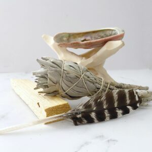Mini Smudge Beginner Kit, Beginners Smudge Kit, Sage Smudge Kit, 5 Pc White Sage Smudge Torch Kit with Palo Santo, Feather, Shell