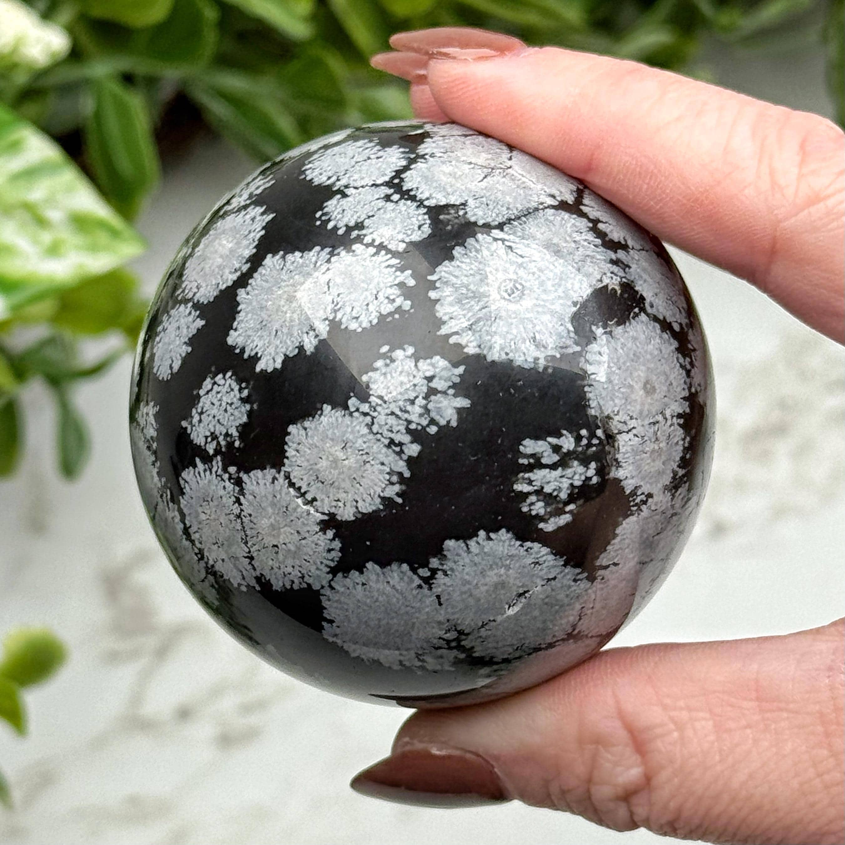 Snowflake Obsidian Sphere | 56mm | - #6 (polished Black Crystal Ball, Root Chakra, Healing Stone)