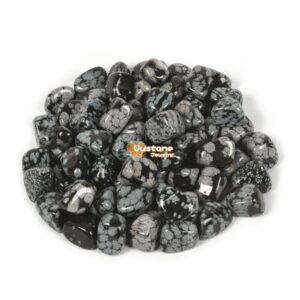 100 Grams Snowflake Obsidian Tumbled Polished Natural Crystal Healing Pocket Stones Rock Collection