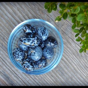 Tumbled Snowflake Obsidian