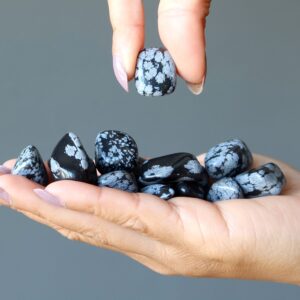 Snowflake Obsidian Tumbled Stone Protection