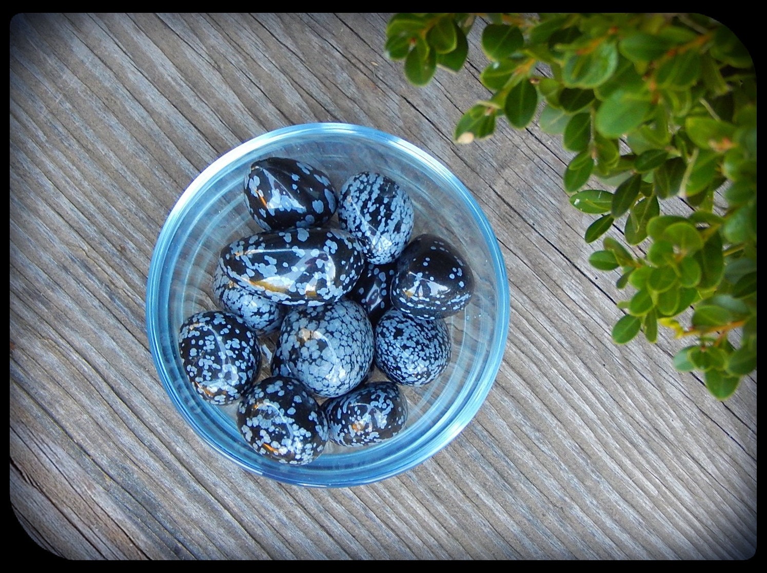 Tumbled Snowflake Obsidian