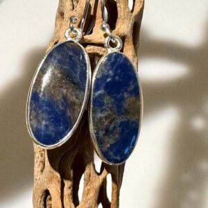 Sodalite Dangling Earrings.
