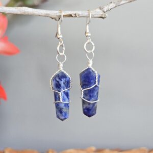 Sodalite Dangle Earrings - Wire Wrapped Gemstone Point