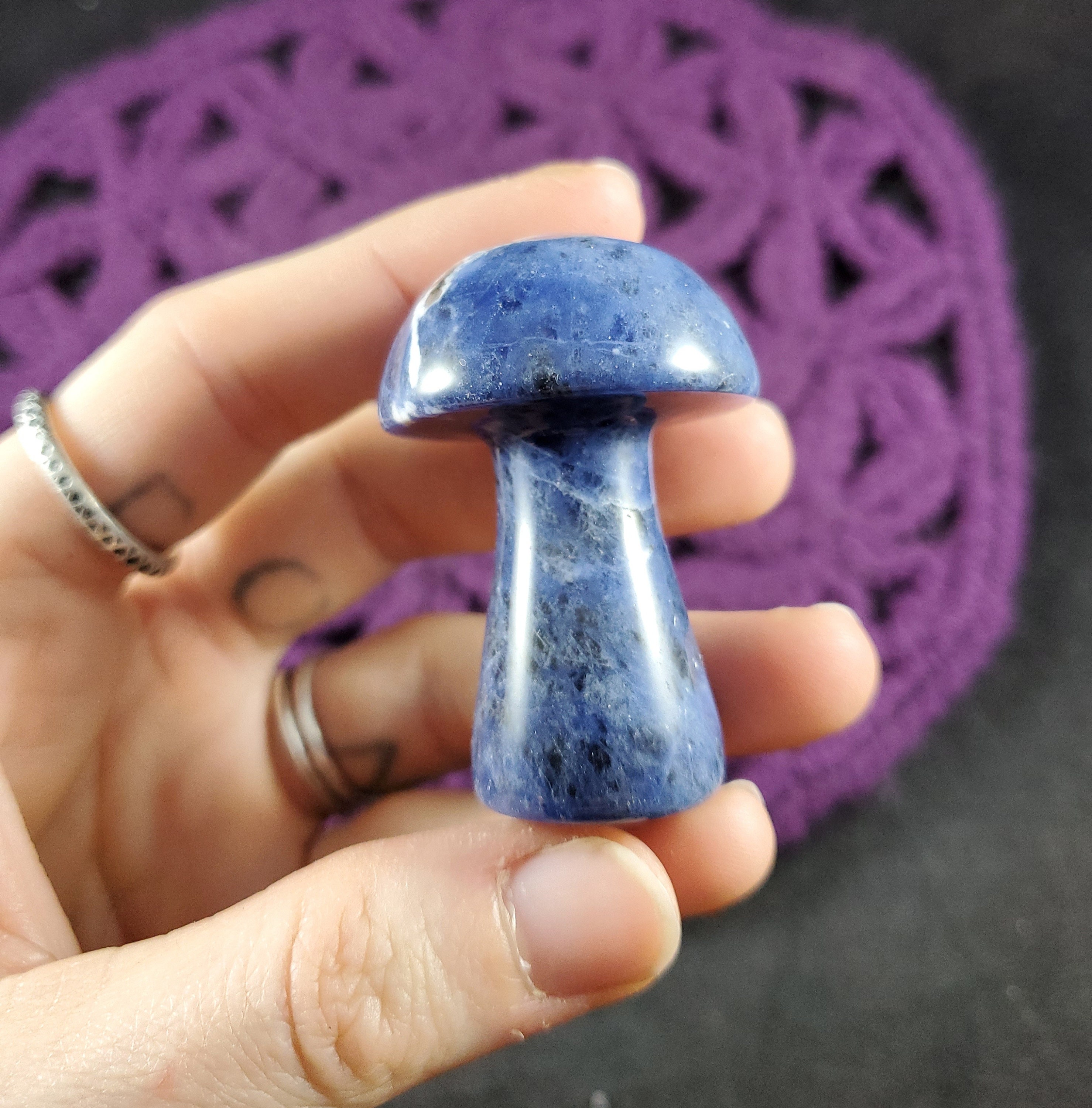 Sodalite Carved Mushroom Funky Stones Blue White Crystal Carving Trippy Mushie Shroom Fungi Fungus Garden Decor