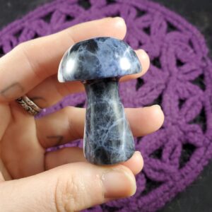 Sodalite Carved Mushroom Funky Stones Blue White Crystal Carving Trippy Mushie Shroom fungi fungus garden decor Sodalite Carved Mushroom Funky Stones Blue White Crystal Carving Trippy Mushie Shroom fungi fungus garden decor