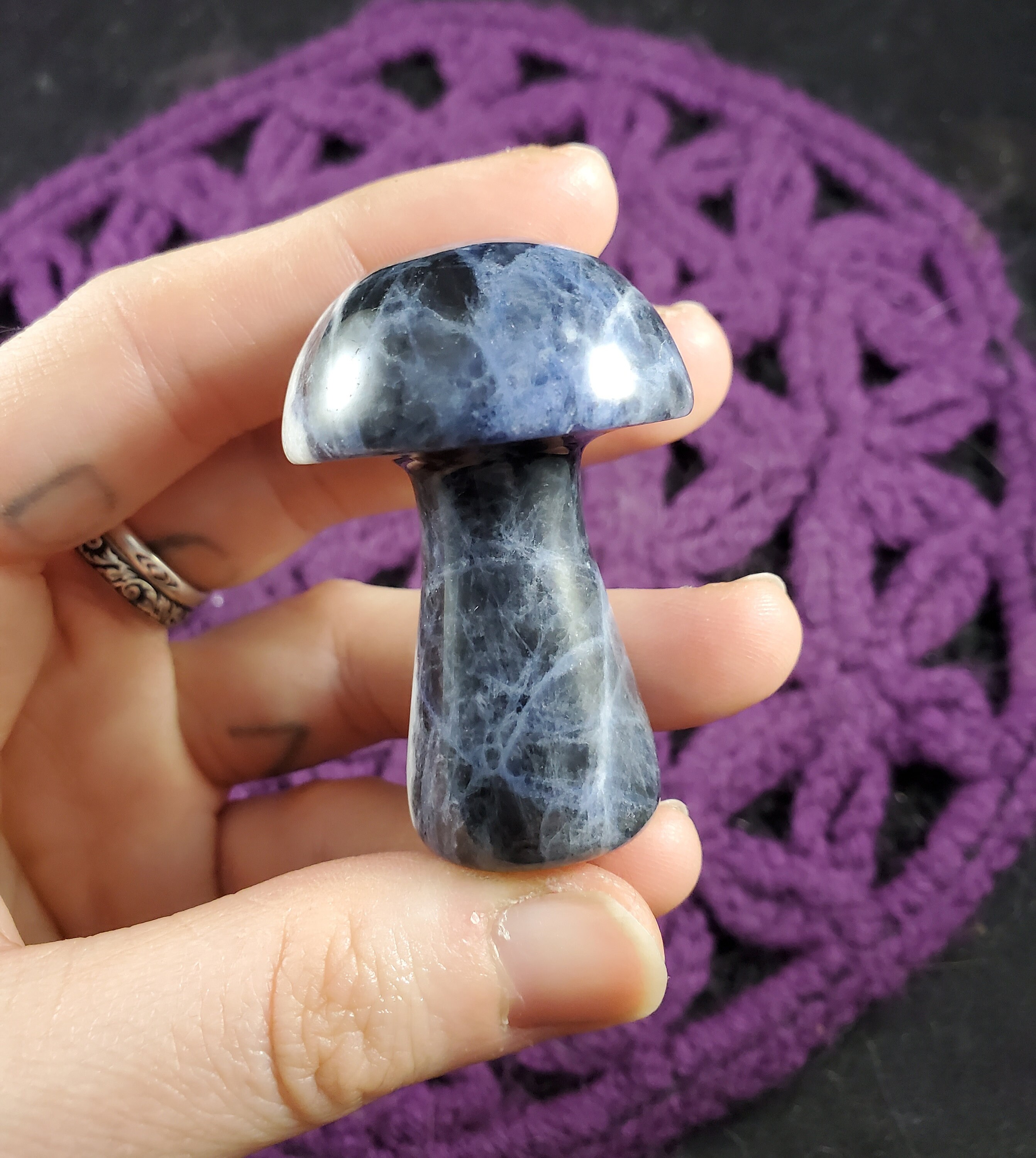 Sodalite Carved Mushroom Funky Stones Blue White Crystal Carving Trippy Mushie Shroom Fungi Fungus Garden Decor