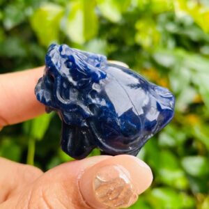 Sodalite Crystal Dragon Turtle: Deep Blue Carved Stone (34g, 40x30x23mm) Sodalite Crystal Dragon Turtle: Deep Blue Carved Stone (34g, 40x30x23mm)