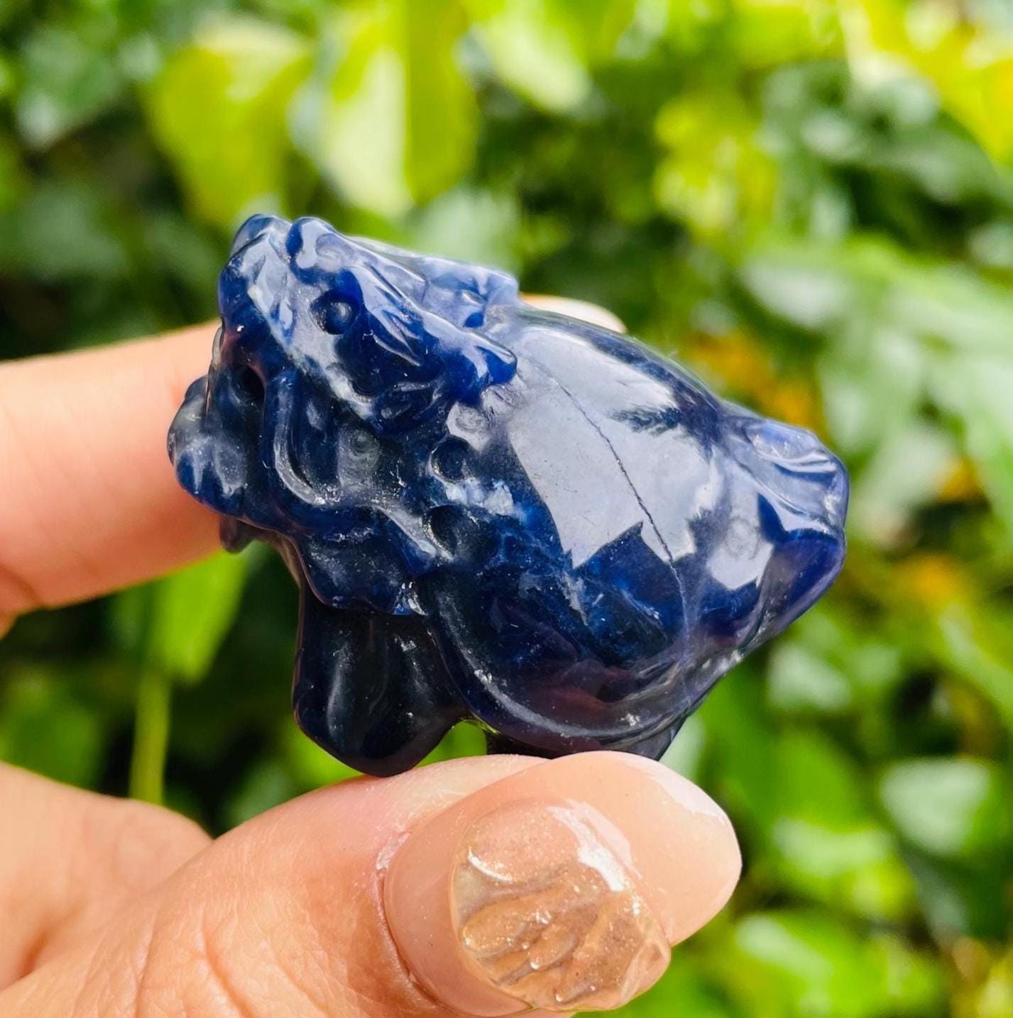 Sodalite Crystal Dragon Turtle: Deep Blue Carved Stone (34g, 40x30x23mm)