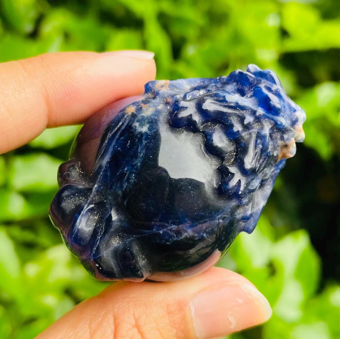 Sodalite Crystal Dragon Turtle: 36g Deep Blue Carved Stone (45x35x26mm)
