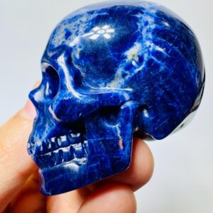 High Quality Sodalite Skull, Sodalite Crystal Skull, Skull Crystal, Carved Stone Skull, Human Skull Art S2 High Quality Sodalite Skull, Sodalite Crystal Skull, Skull Crystal, Carved Stone Skull, Human Skull Art S2