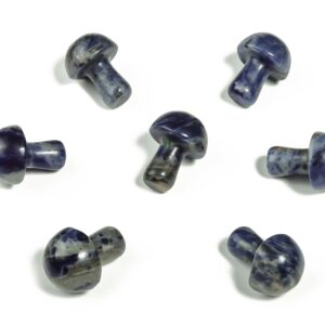Sodalite Mushroom Gemstone - Mushroom Crystal – Healing Crystal – Carved Mushroom – 2cm – MU1010 Sodalite Mushroom Gemstone - Mushroom Crystal – Healing Crystal – Carved Mushroom – 2cm – MU1010