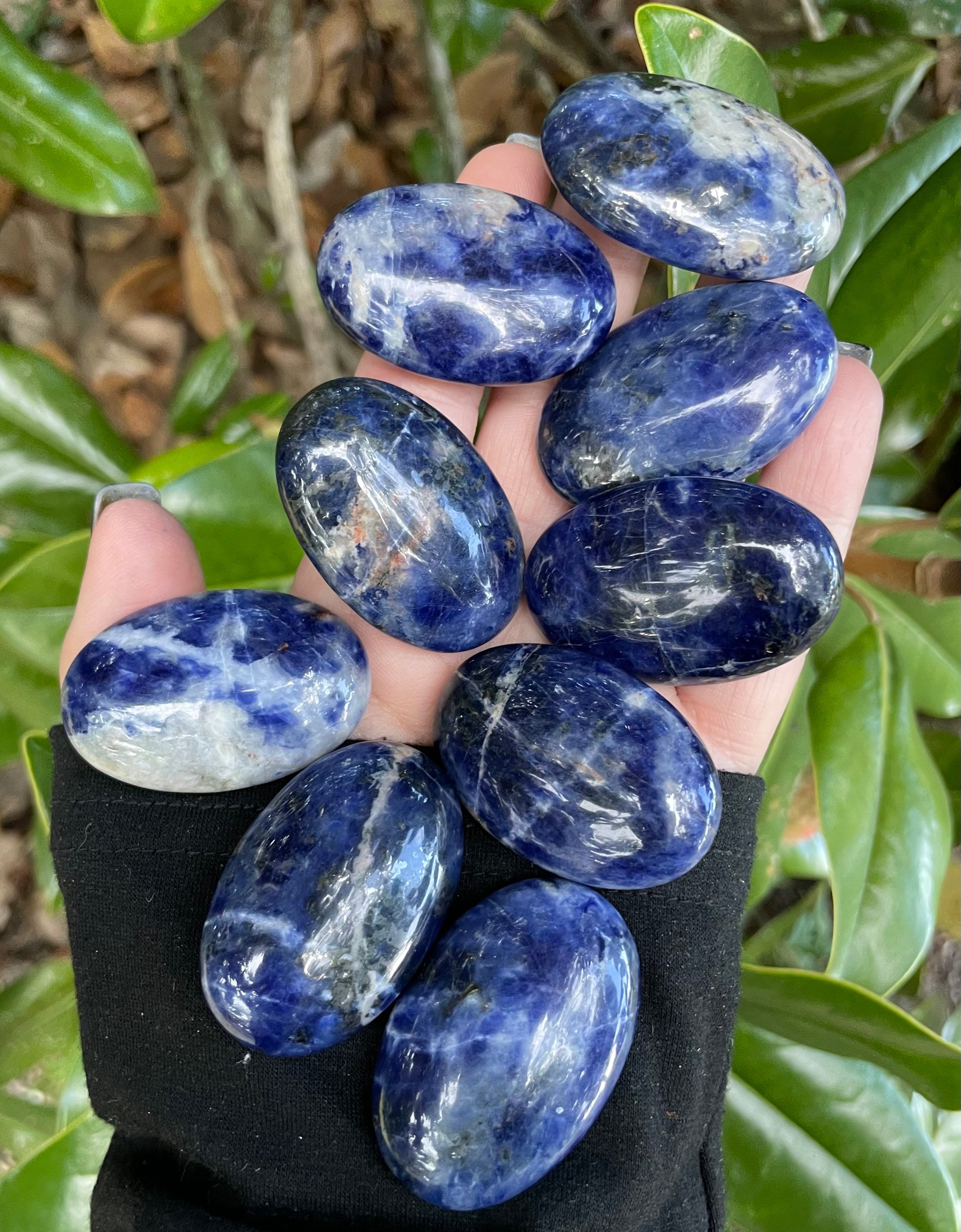 Sodalite, Sodalite Palm Stone, Qty. 1 Sodalite, Sodalite Palm Stone, Qty. 1