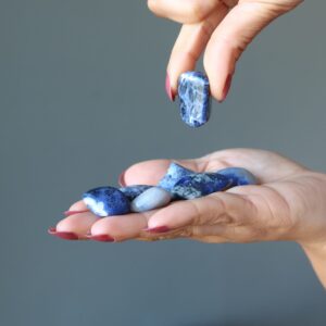 Sodalite Tumbled Stones Spiritual Seer Blue Visionary Crystal Sodalite Tumbled Stones Spiritual Seer Blue Visionary Crystal