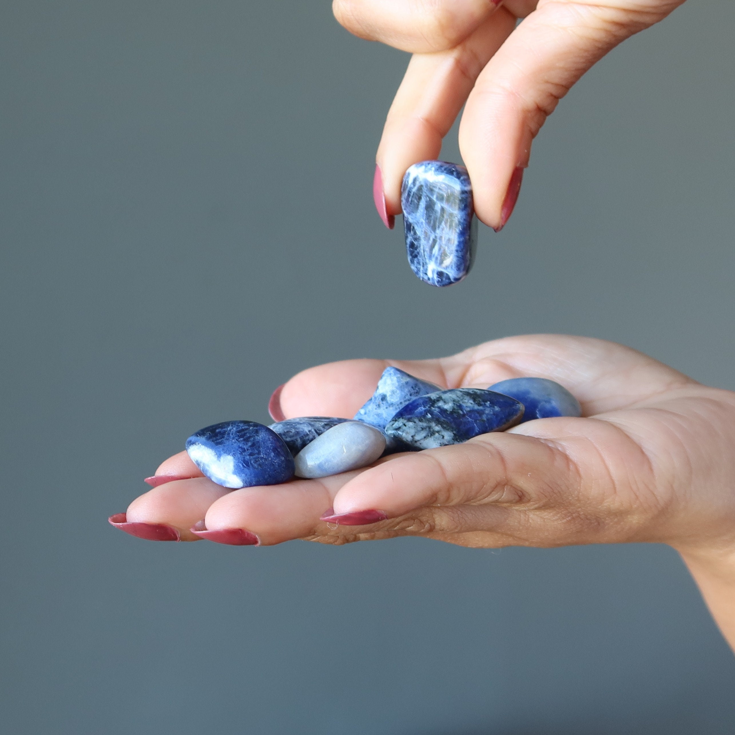 Sodalite Tumbled Stones Spiritual Seer Blue Visionary Crystal