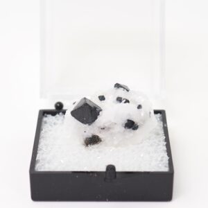 Spinel crystals in matrix Kaiiado Dist., Rift Valley Prov, Kenya natural thumbnail mineral specimen Spinel crystals in matrix Kaiiado Dist., Rift Valley Prov, Kenya natural thumbnail mineral specimen