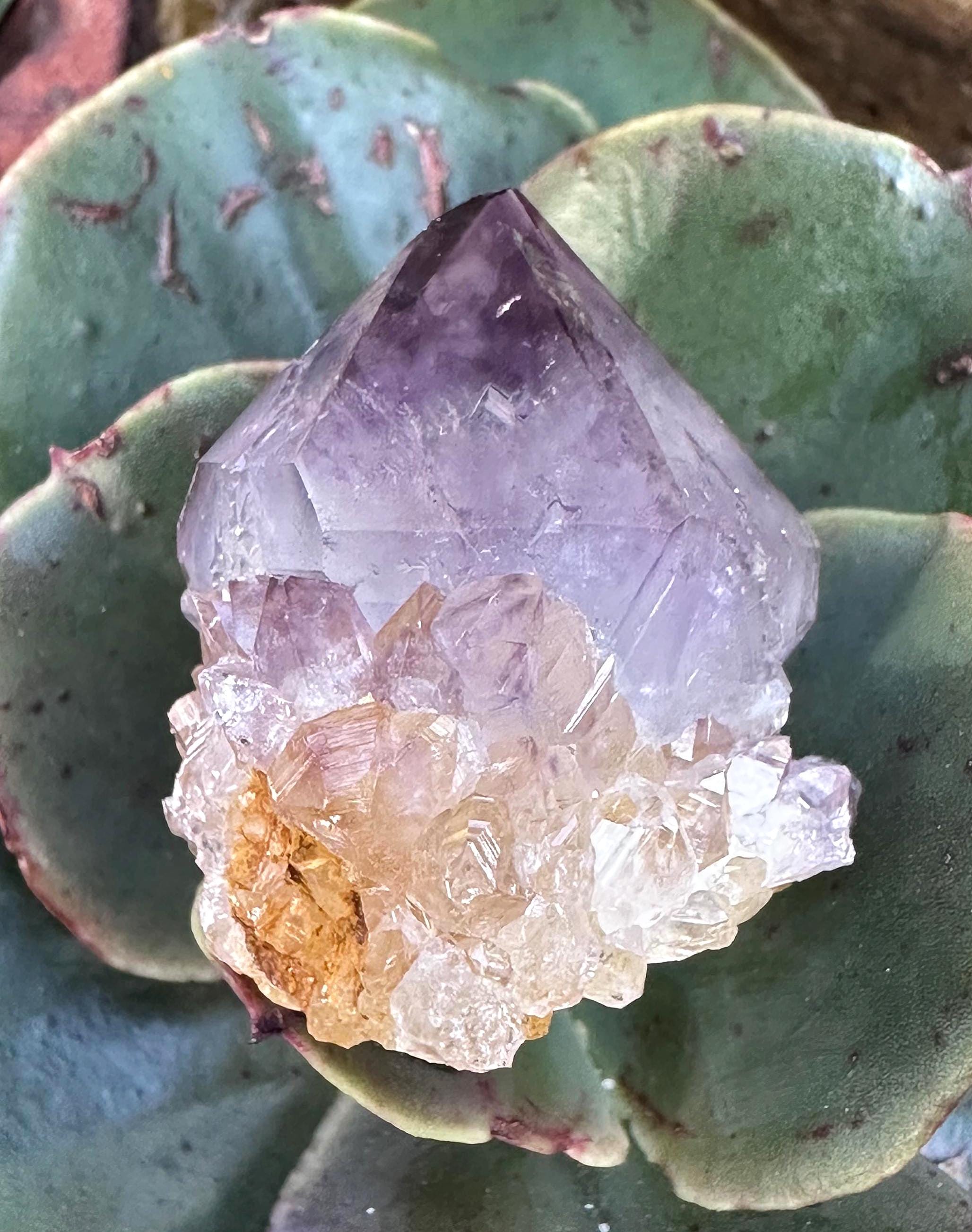 Spirit Quartz "fairy Quartz" Cluster From South Africa Spirit Quartz "fairy Quartz" Cluster From South Africa