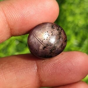 Natural Star Sapphire Cabochon: 31 Carat Unheated Gemstone (16x14 Mm) Natural Star Sapphire Cabochon: 31 Carat Unheated Gemstone (16x14 Mm)