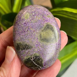 Atlantisite Palm Stone, Stichtite, Serpentine, Exact Shown