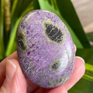 Atlantisite Palm Stone, Stichtite, Serpentine, Exact Shown