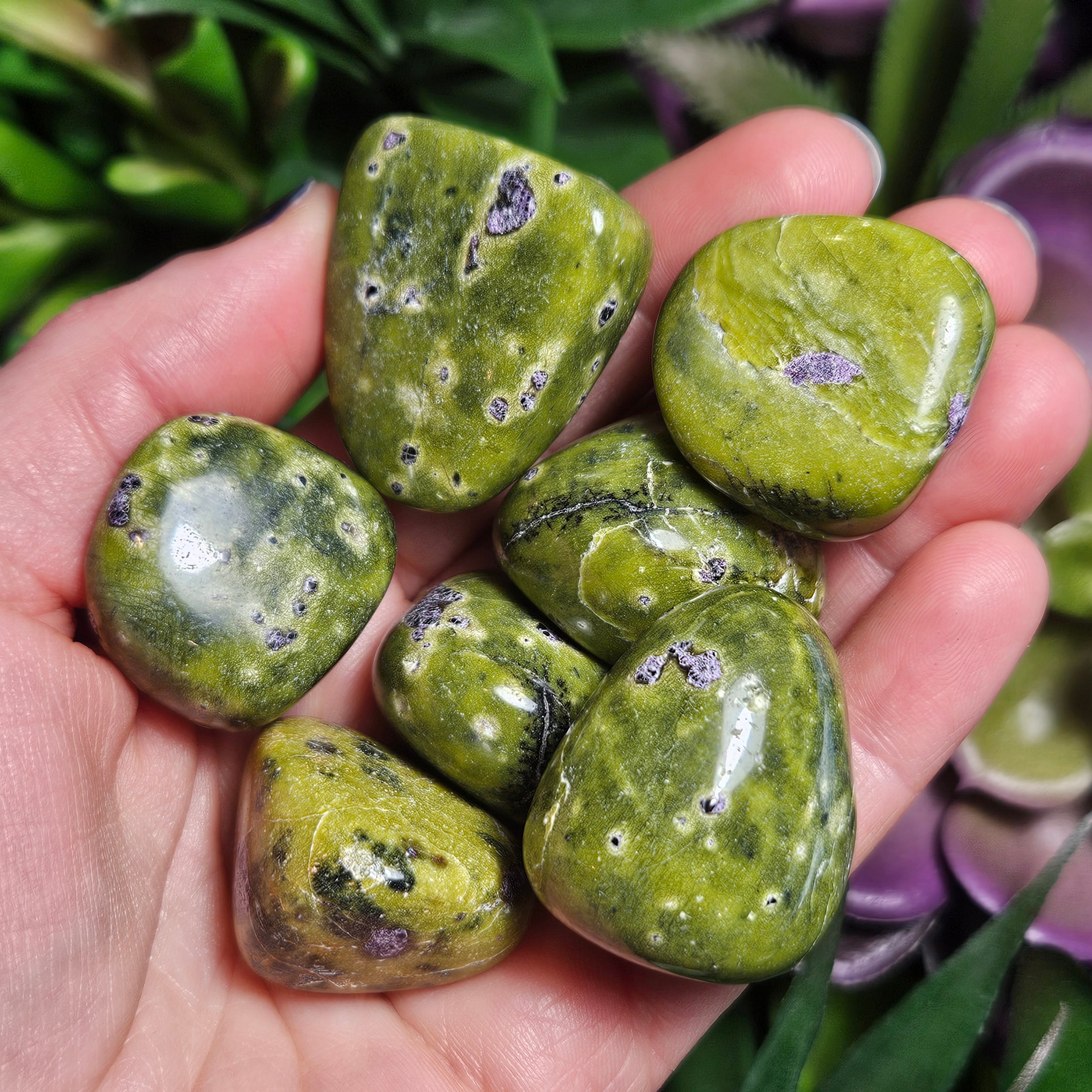 Polished Atlantisite Crystal Tumble: Stichtite In Serpentine