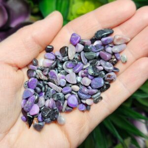 Polished Sugilite Crystal Chips: Small, Tumbled Sugilite, Bulk Quantities