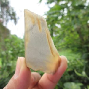 Unusual Golden Sunstone Raw Cross Slice. Healing Crystal Or Cabbing Rough. 93.70 Crt