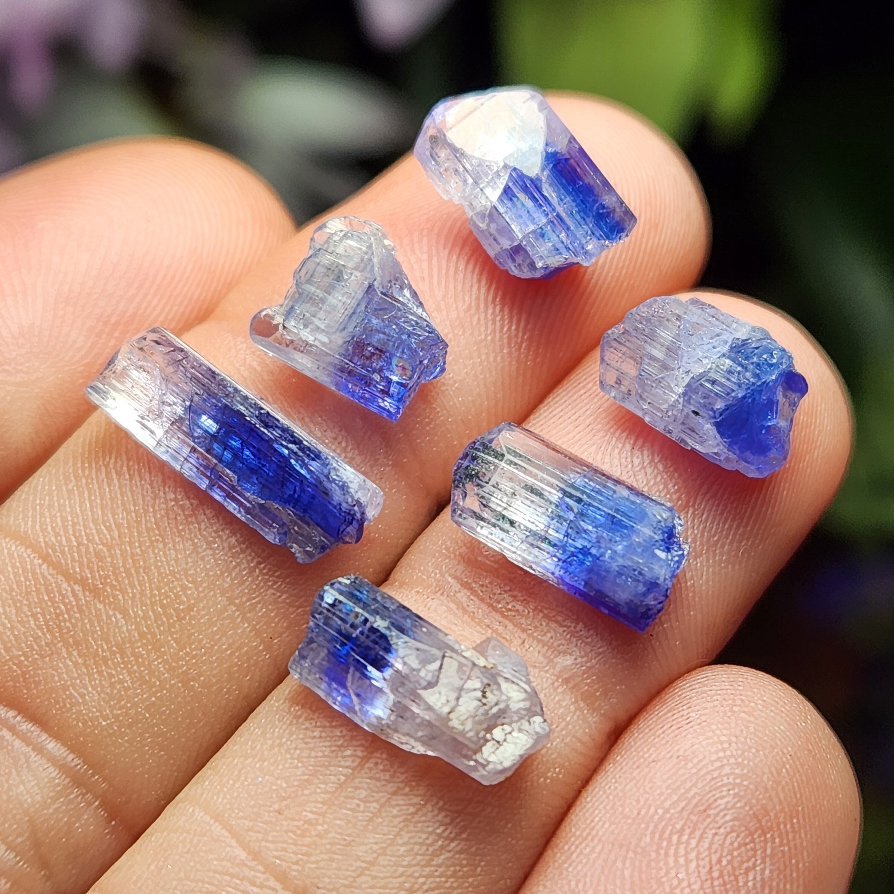 Bi-color Tanzanite Crystal: Indigo & Lilac Raw Gemstone