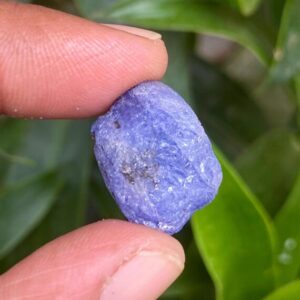Raw Tanzanite Gemstone: Untreated Healing Crystal (23 Ct, 19x14 Mm) Raw Tanzanite Gemstone: Untreated Healing Crystal (23 Ct, 19x14 Mm)