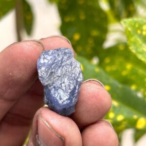 Natural Raw Tanzanite Sprcimen Healing Crystal Blue Tanzanight Rogh Stone Untreated Jewlery Tanzanite Raw Gemstone Natural Raw Tanzanite Sprcimen Healing Crystal Blue Tanzanight Rogh Stone Untreated Jewlery Tanzanite Raw Gemstone