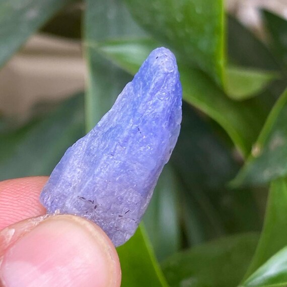 Raw Tanzanite Stone: December Birthstone, Healing Crystal (29x14 Mm) Raw Tanzanite Stone: December Birthstone, Healing Crystal (29x14 Mm)