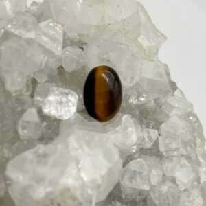 Oval Tigers Eye Cabochon 8.6CT Oval Tigers Eye Cabochon 8.6CT
