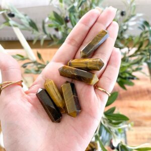 Tiger's Eye Double Terminated Points: Polished Crystal (1.5 Inch)