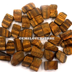 Raw Tiger Eye Gemstone Chunks: 10 Piece Set, Jewelry Making (20-24mm)
