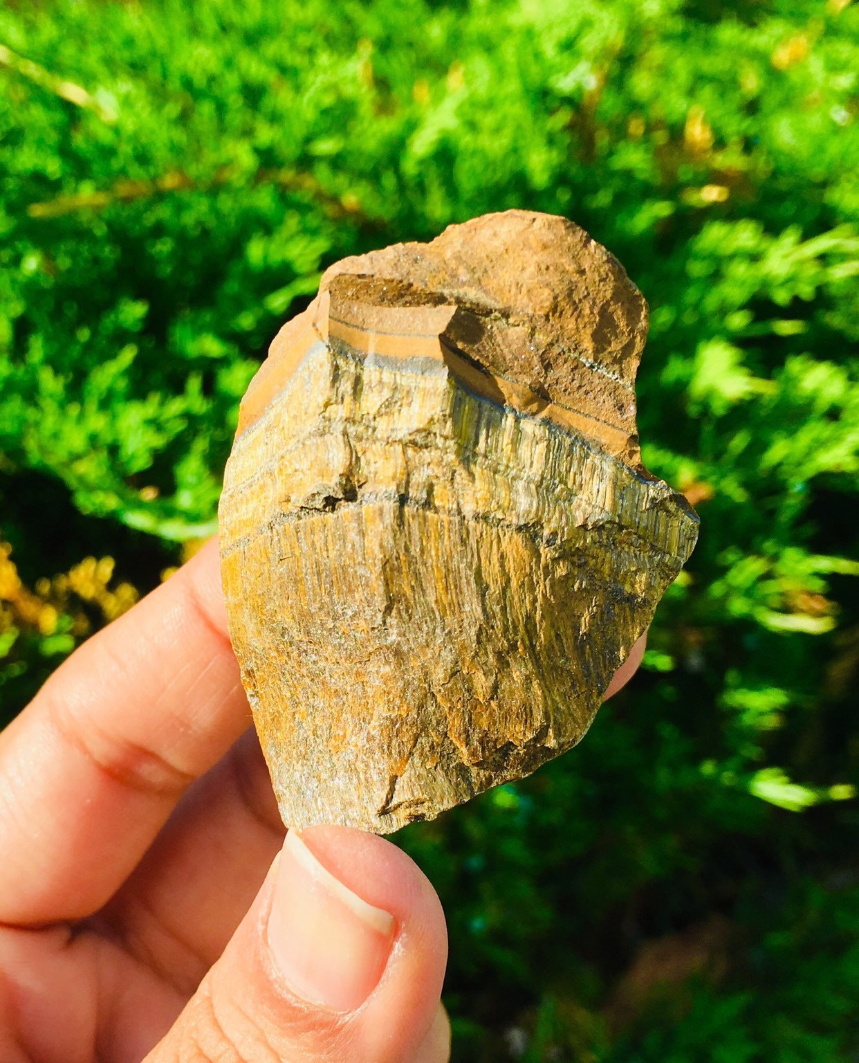 Xl Raw Tigers Eye Stone: Natural Rough Gemstone (1.5-2.5")