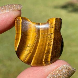 Tiger Eye Crystal Cat Head: Pocket Kitty Palm Stone