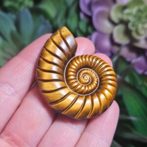 Tiger's Eye Ammonite Carving: Polished Gemstone Fossil