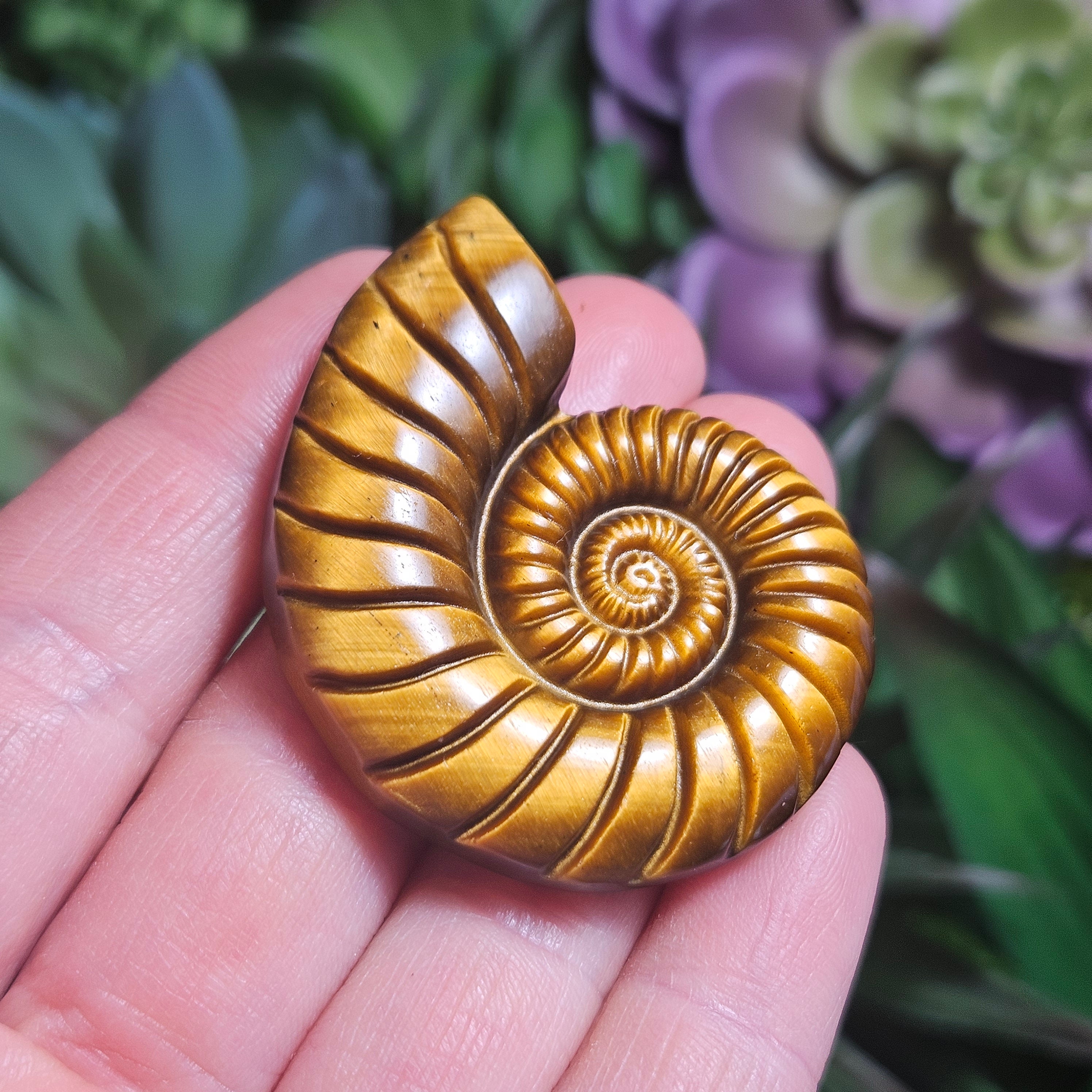 Tiger's Eye Ammonite Carving: Polished Gemstone Fossil